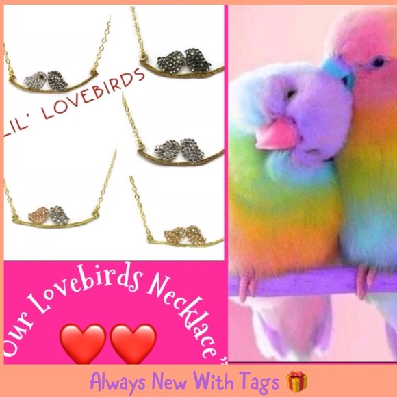 Our Lil’Lovebirds Necklace in Austrian Crystal-NWT-Boutique - Picture 8 of 8